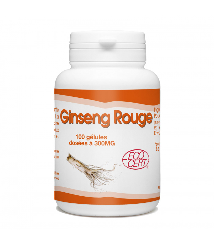 premium red ginseng