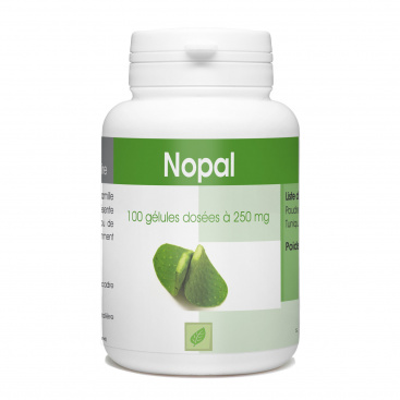 Nopal - 250 mg- 100 gélules