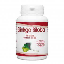 Ginkgo Biloba Bio - 250 mg - 100 gélules
