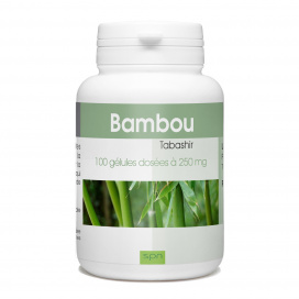 Bambou Tabachir - 100 gélules