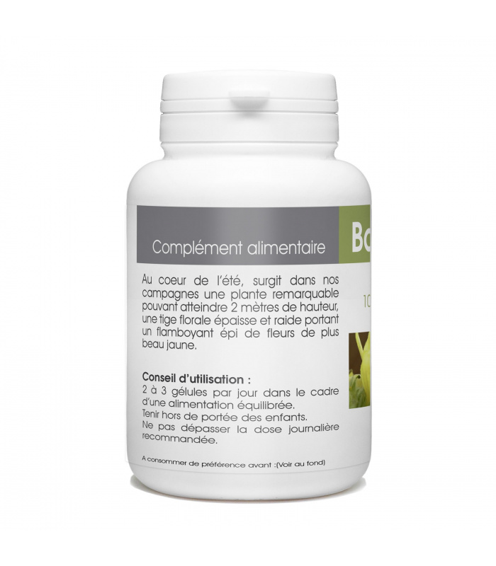 Bouillon Blanc 230 mg 100 gélules