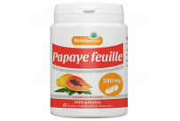 Papaye Feuille - 390mg - 200 gélules