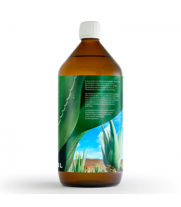 Le Jus d'Aloe Vera, une plante du sud - Digestion