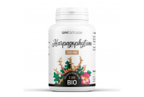 Harpagophytum racine biologique 330 mg