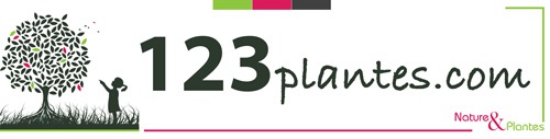 123plantes.com